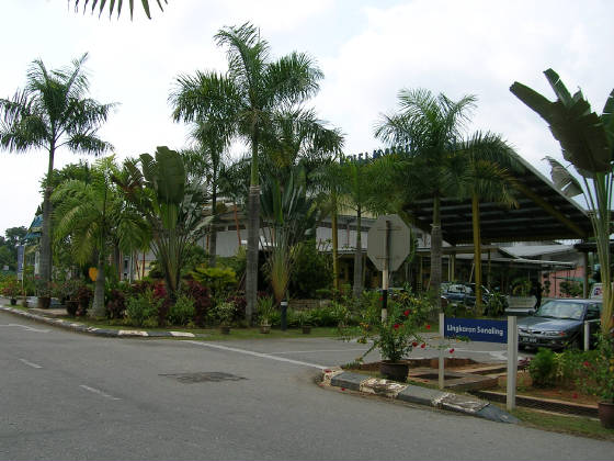 dscn0941.jpg